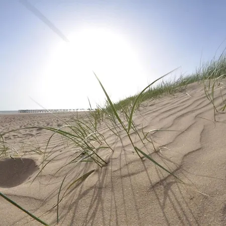 Bel 1 Pour 5 Personnes Au Bord De La A - Fr-1-323-216