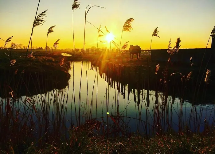 Bel 1 Pour 5 Personnes Au Bord De La A - Fr-1-323-216 Apartment *