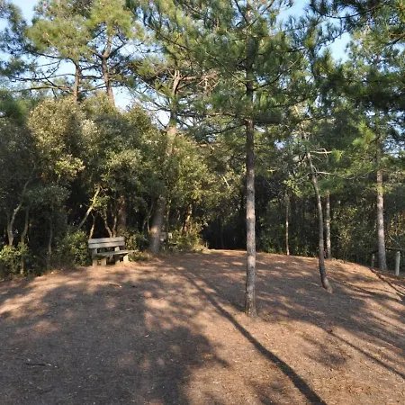 Bel 1 Pour 5 Personnes Au Bord De La A - Fr-1-323-216 * Saint-Jean-de-Monts