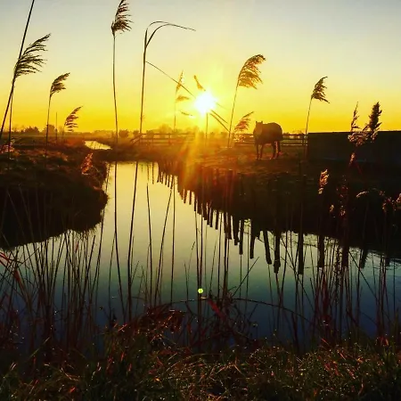 Bel 1 Pour 5 Personnes Au Bord De La A - Fr-1-323-216 Appartement *