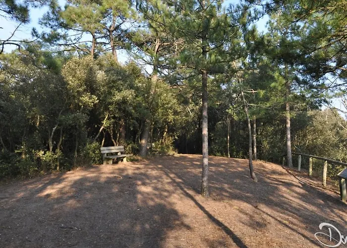 Bel 1 Pour 5 Personnes Au Bord De La A - Fr-1-323-216 * Saint-Jean-de-Monts