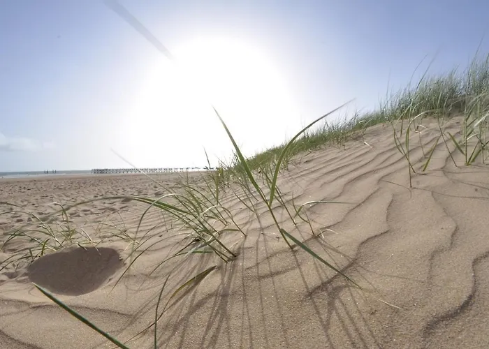 Bel 1 Pour 5 Personnes Au Bord De La A - Fr-1-323-216